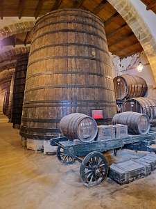 Visitiamo le Cantine Florio