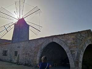 Trapani